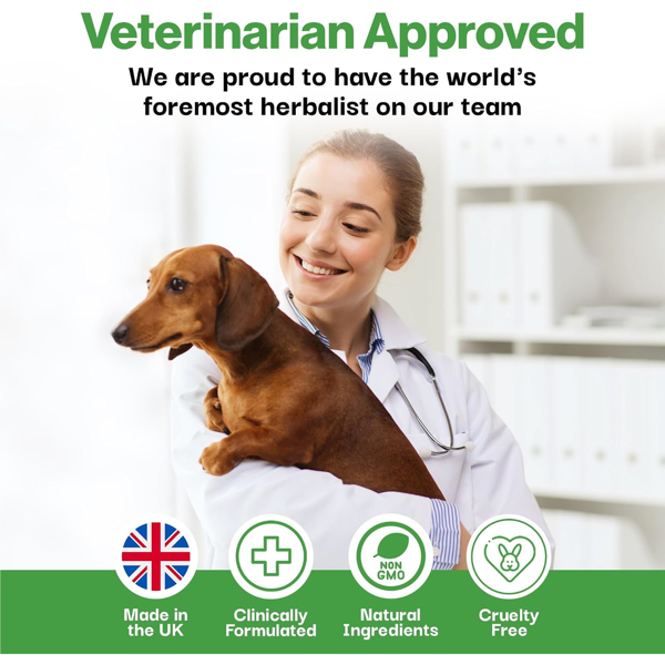 PROBIOPETS Immune probiotikis imunitetui šunims, 100 g